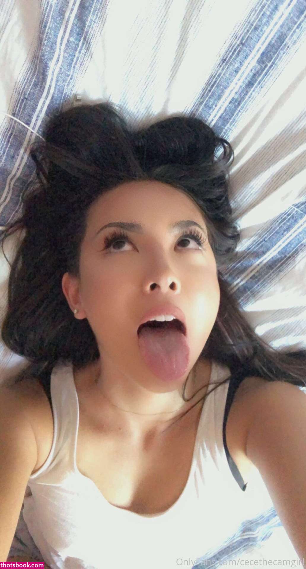 cecesplayhouse Photo #105