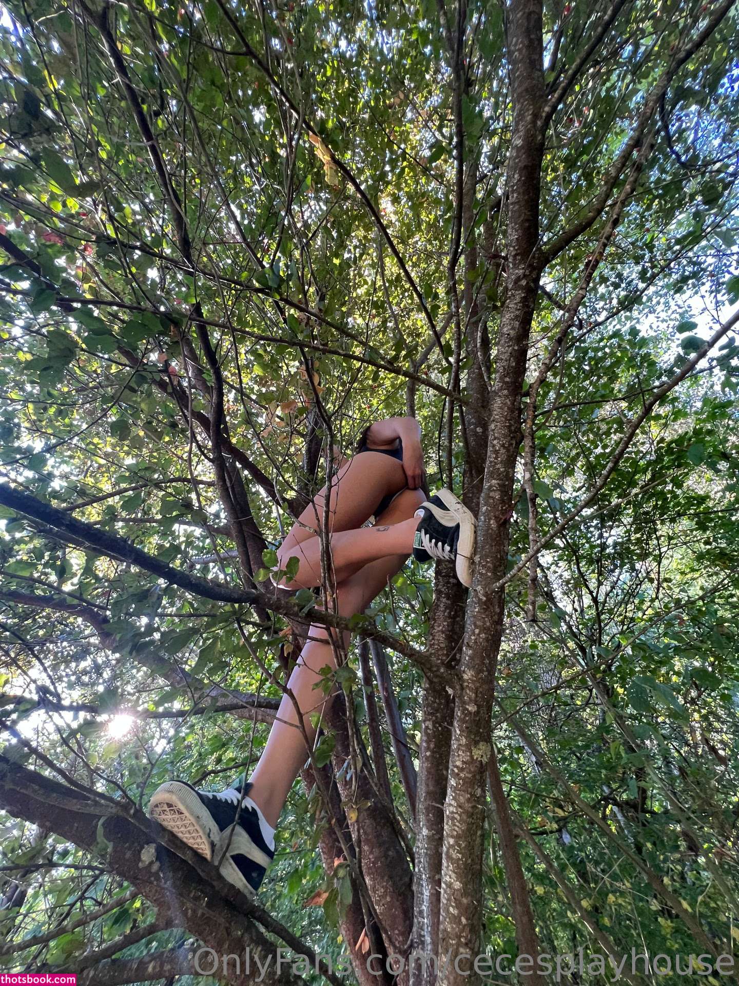 cecesplayhouse Photo #258