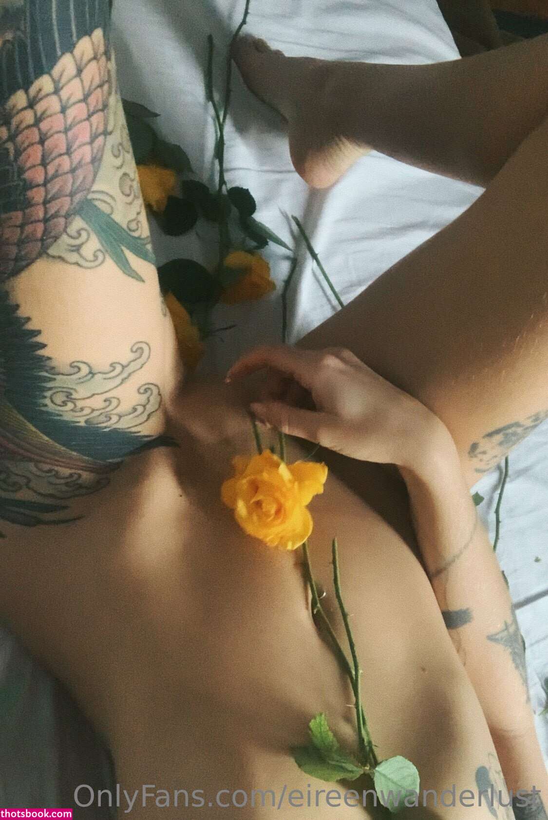 Panettonevirginia Photo #7