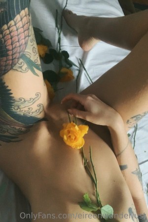 Panettonevirginia Photo #7