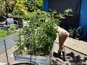 Abby Darkstar Photo #211