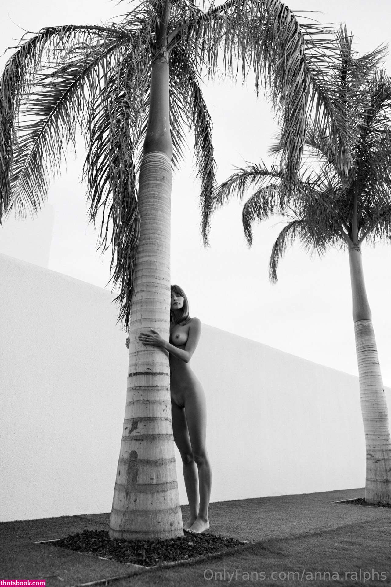 Deanralphs Photo #697