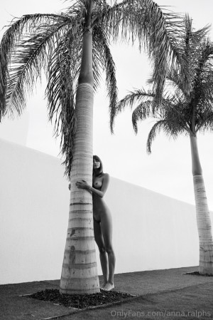 Deanralphs Photo #697