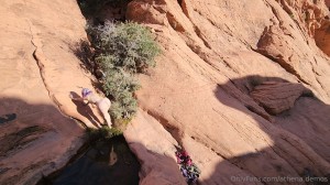 Athena Demos Photo #132