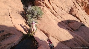 Athena Demos Photo #141