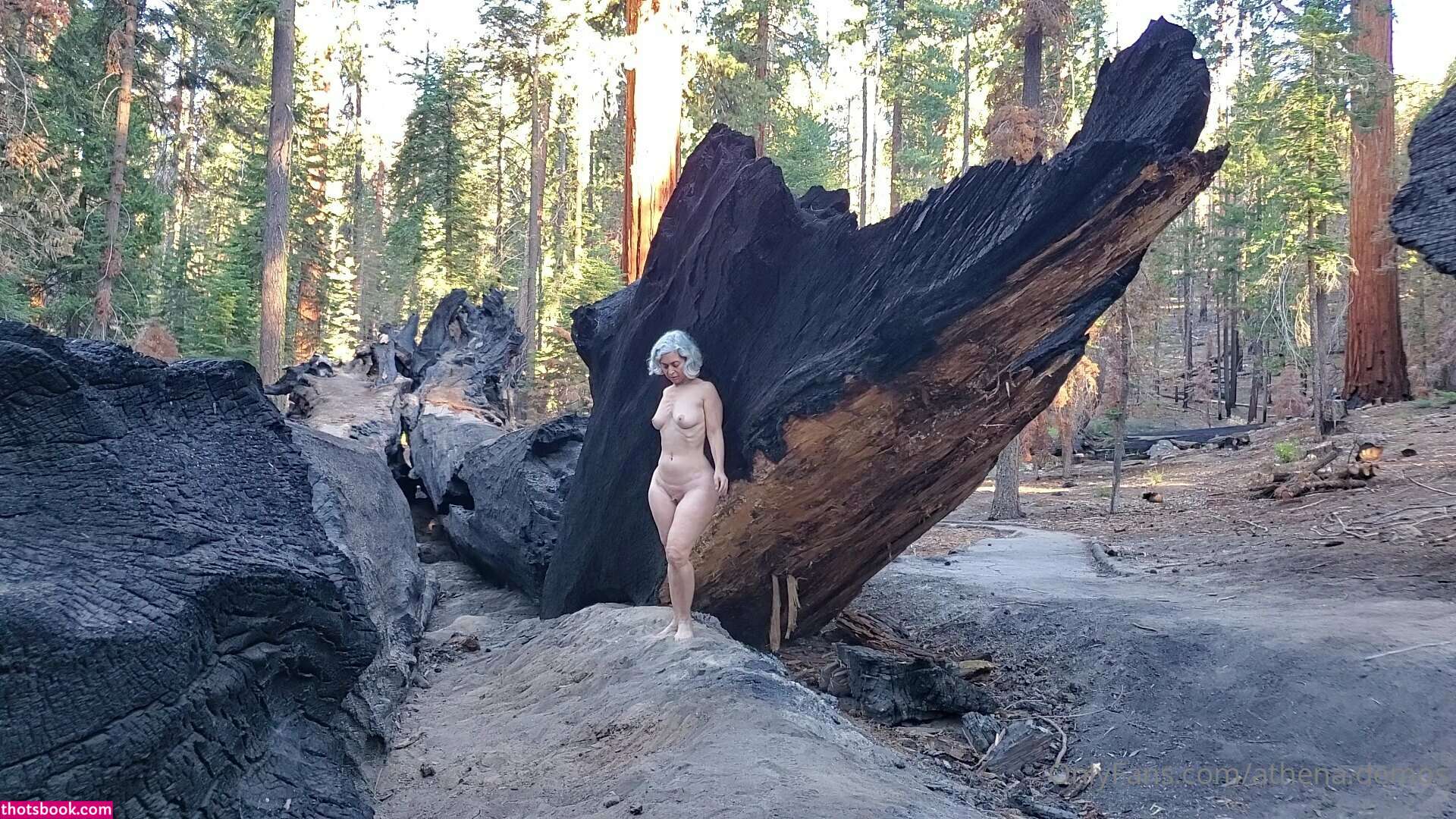 Athena Demos Photo #304