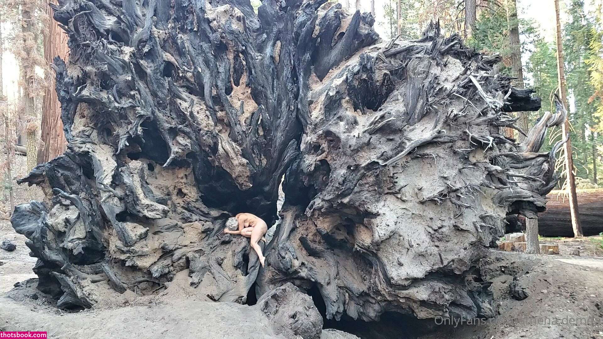 Athena Demos Photo #305