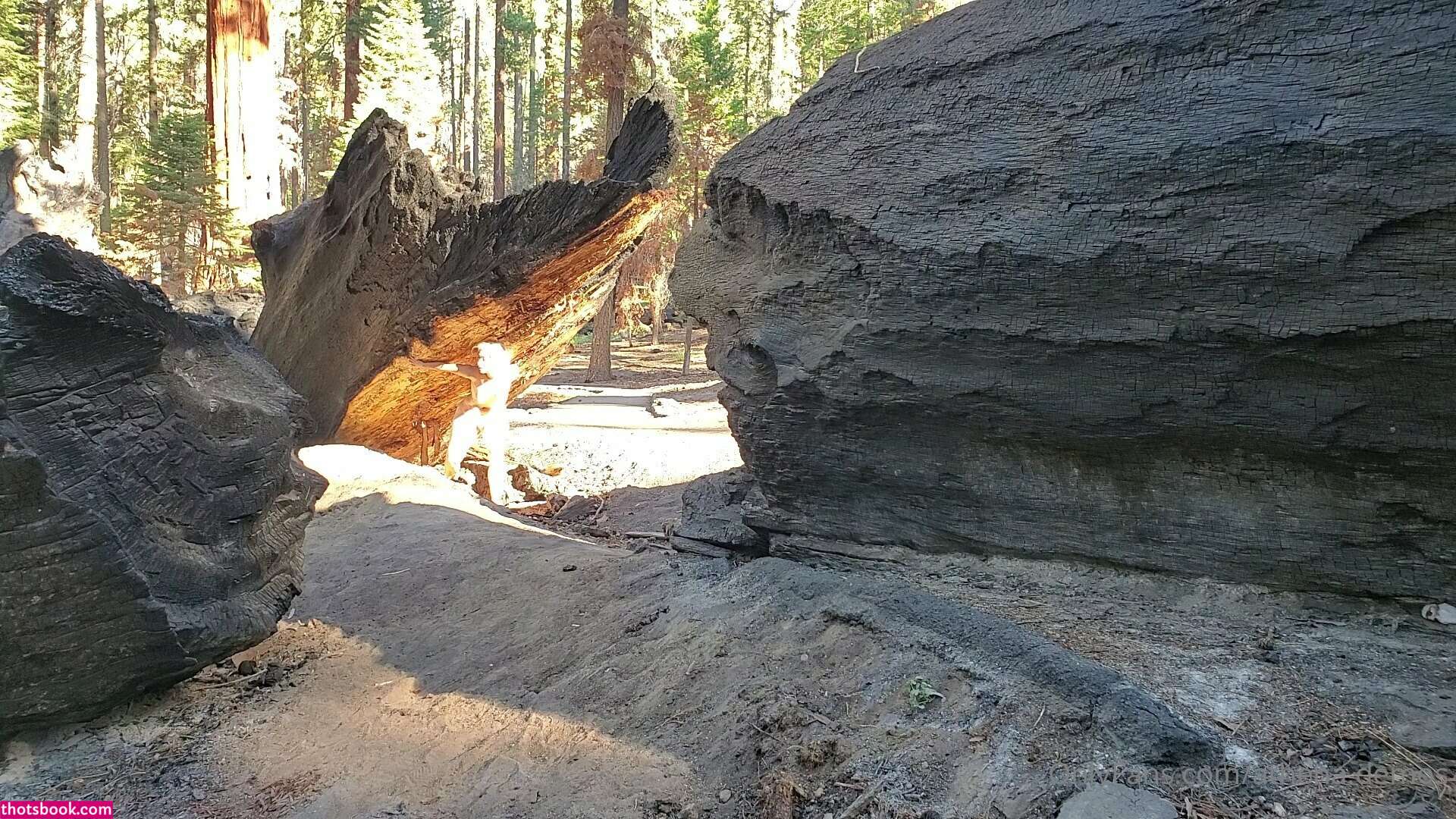 Athena Demos Photo #309