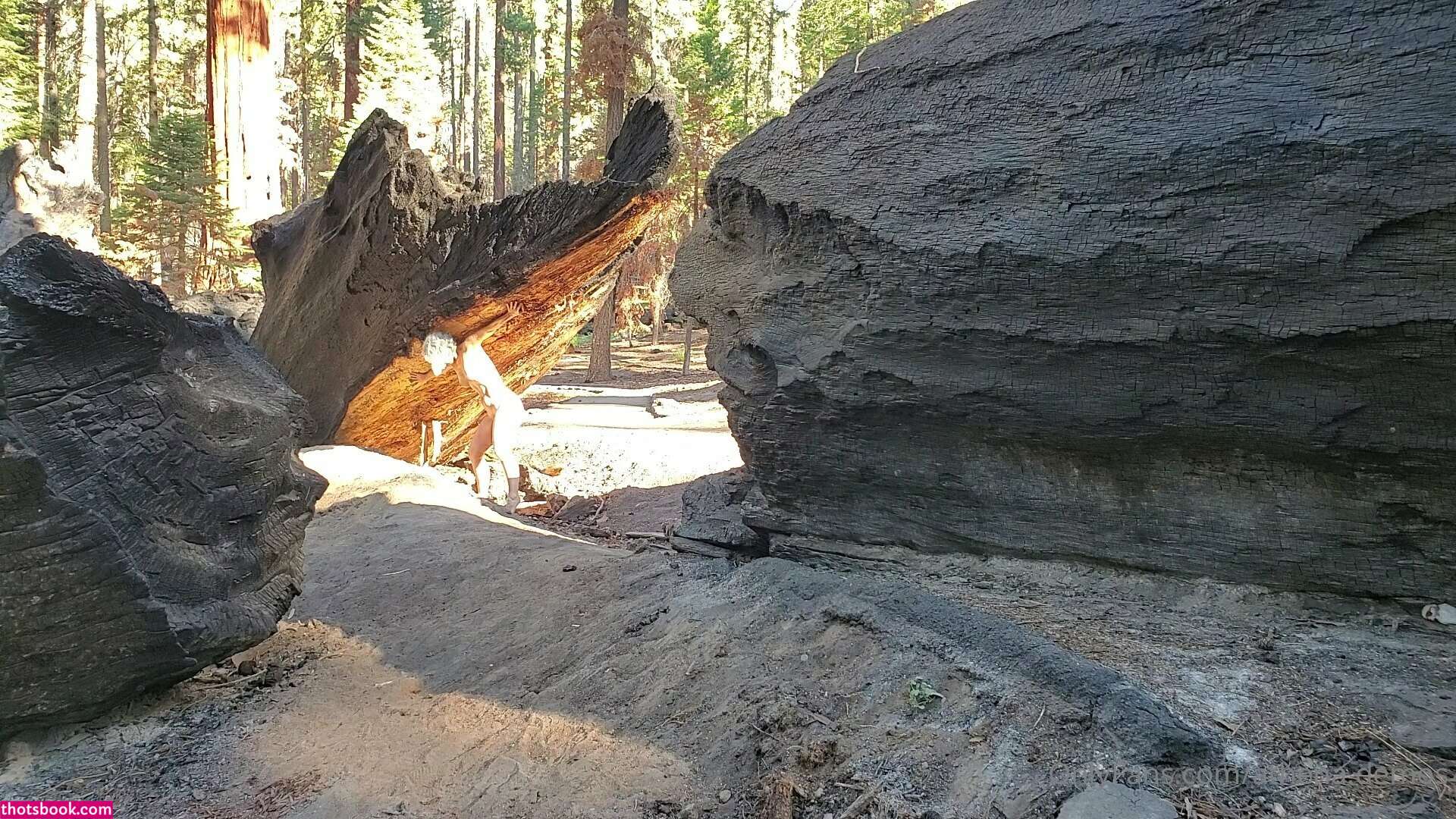 Athena Demos Photo #313