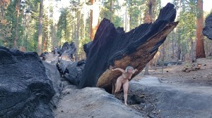 Athena Demos Photo #301