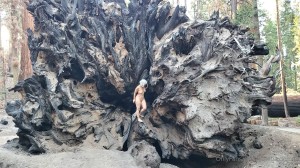 Athena Demos Photo #306