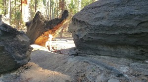 Athena Demos Photo #309