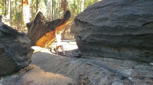 Athena Demos Photo #314