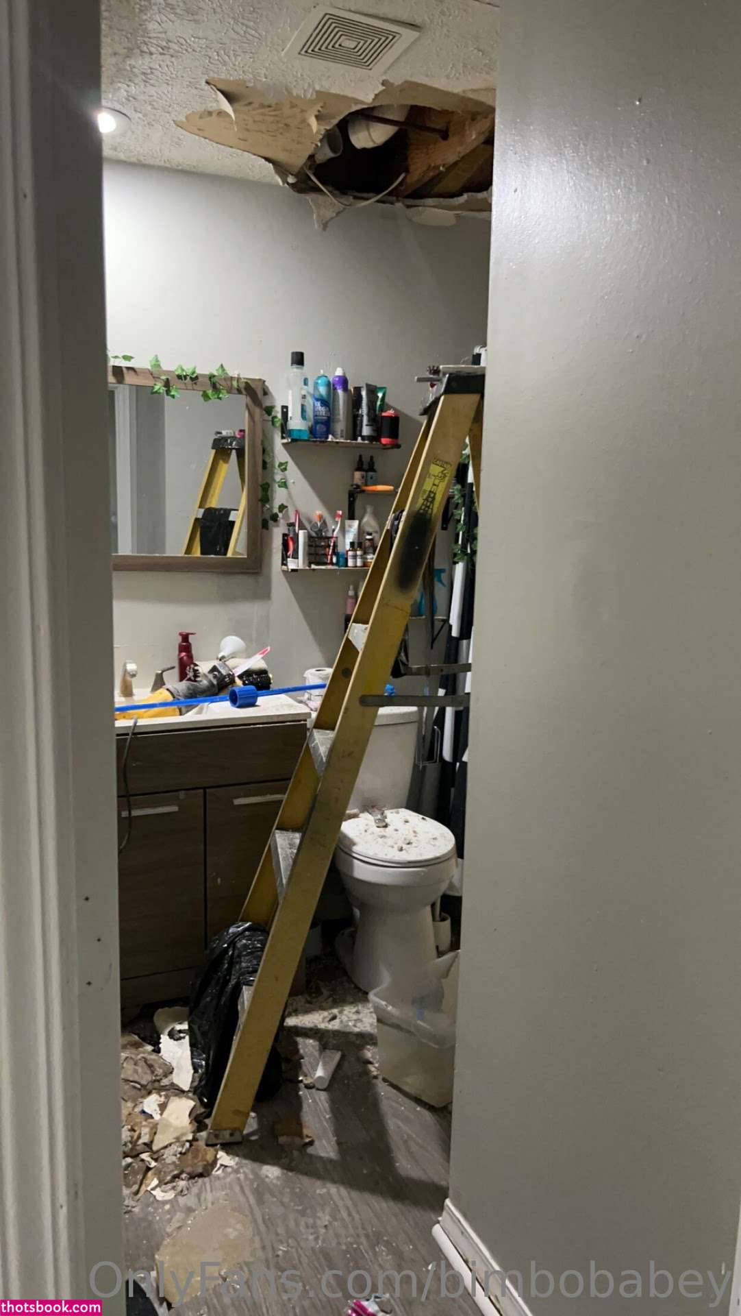 Bimbobabey Photo #139