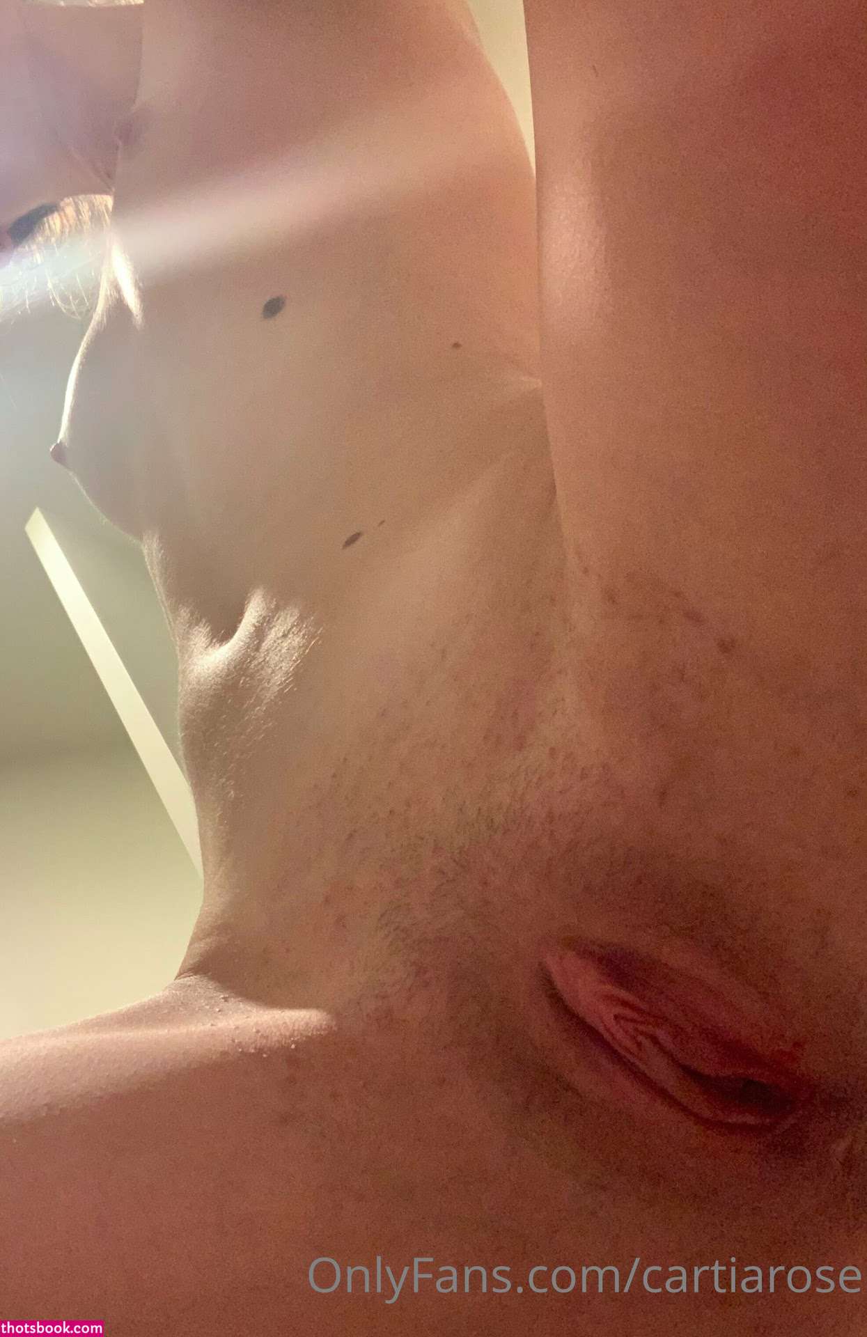 Cartia Rose Photo #80