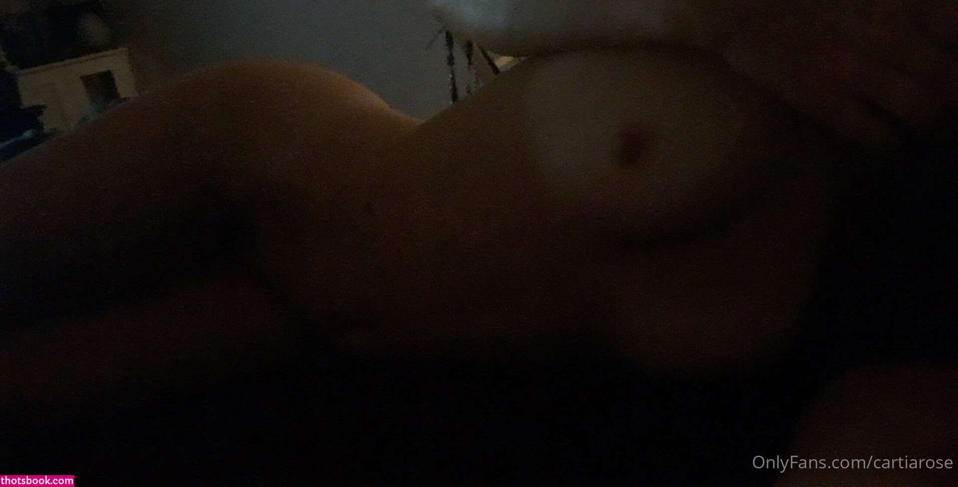 Cartia Rose Photo #92