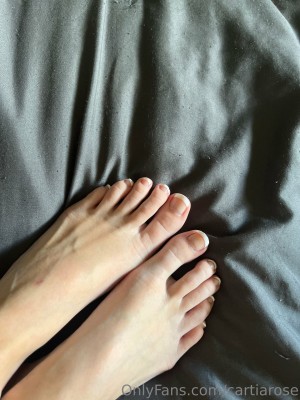 Cartia Rose Photo #165