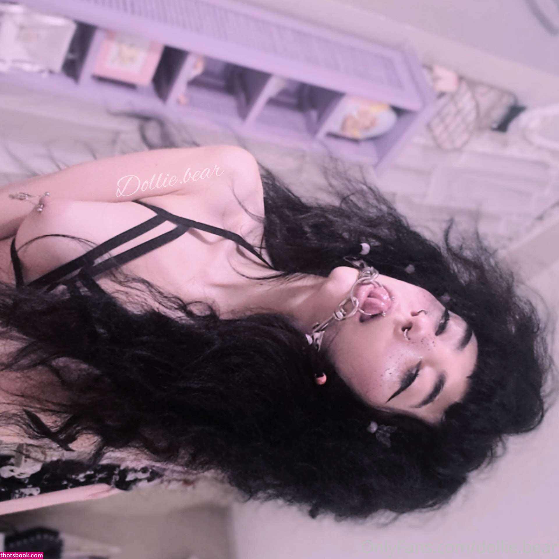 Dollie Bear Photo #68