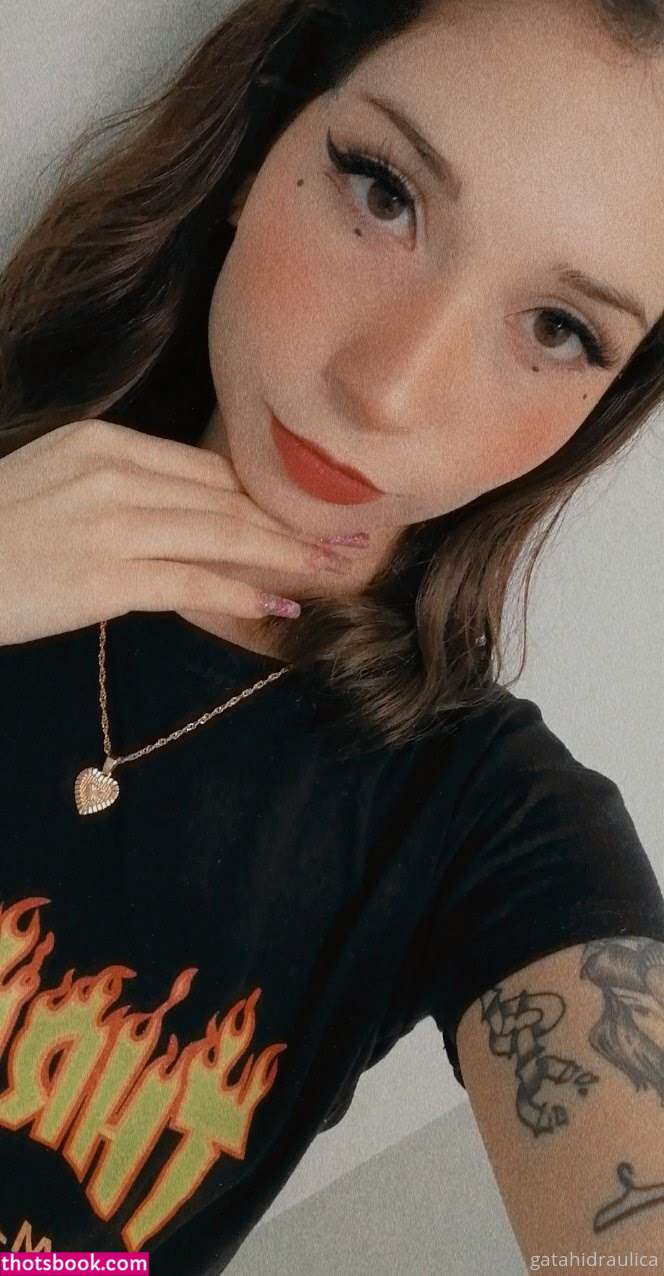 Gatahidraulica Photo #7