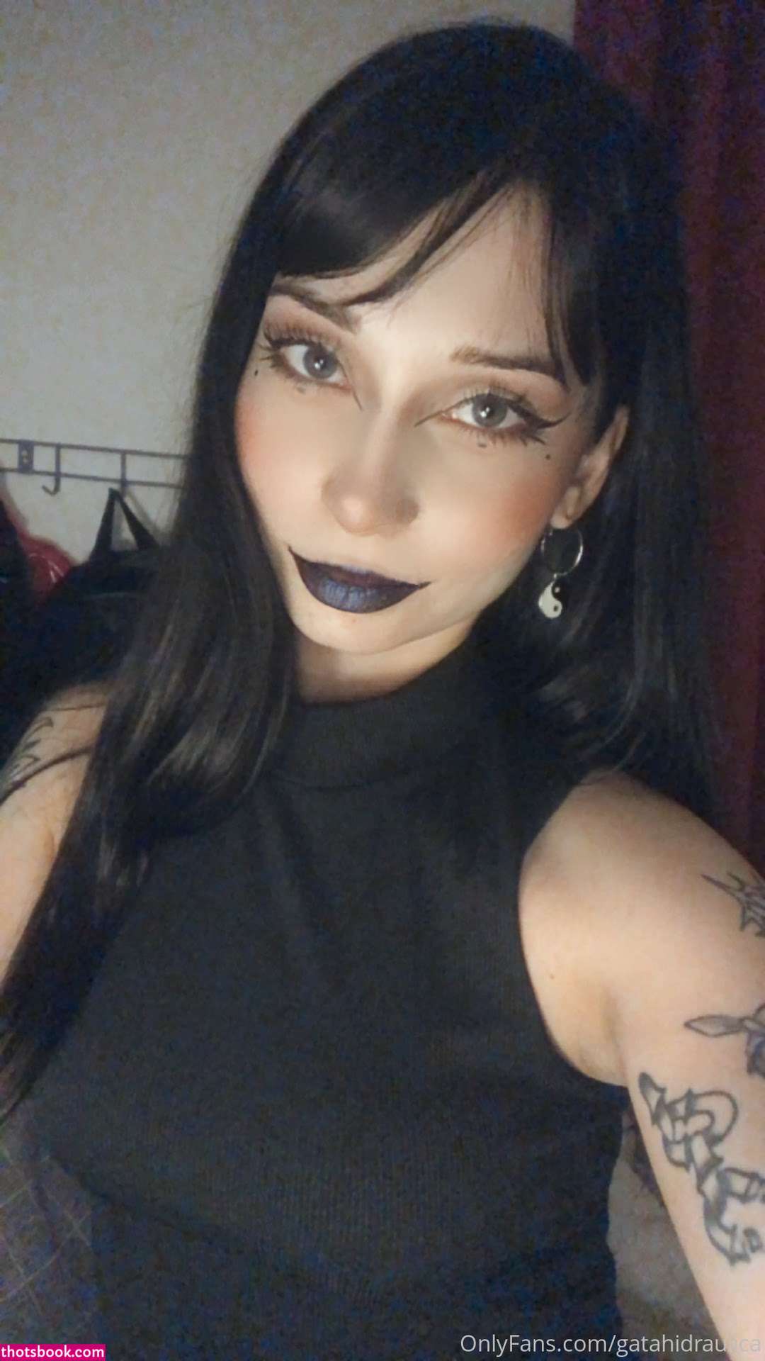 Gatahidraulica Photo #94