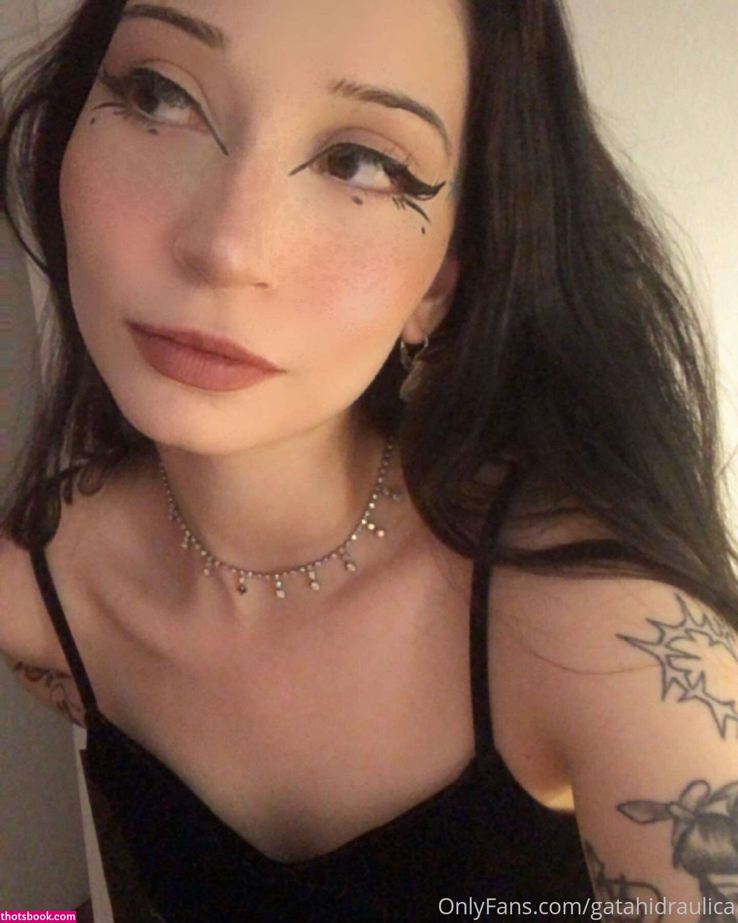 Gatahidraulica Photo #100