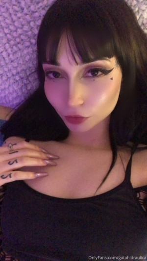 Gatahidraulica Photo #138