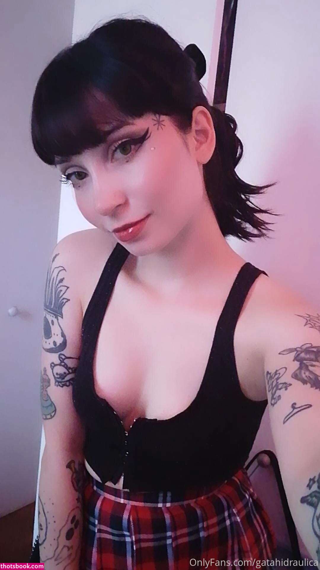 Gatahidraulica Photo #169