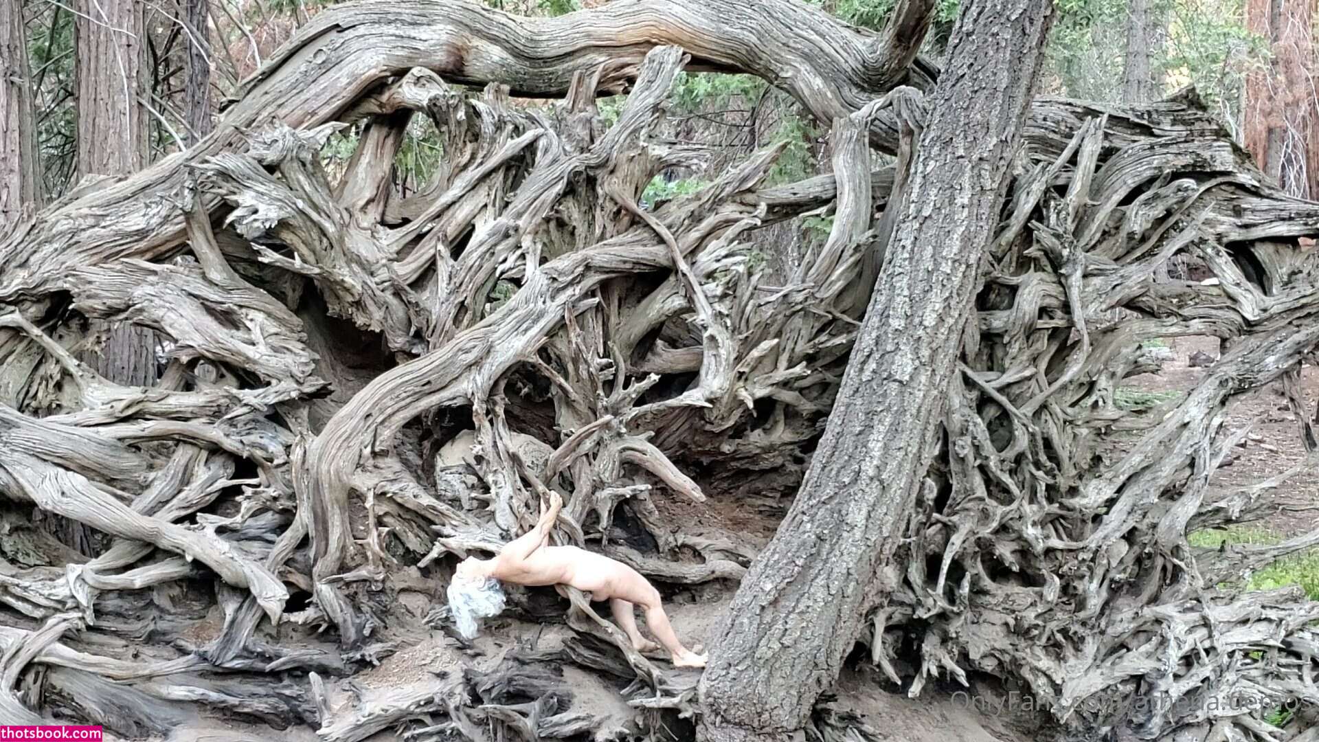 Athena Demos Photo #340