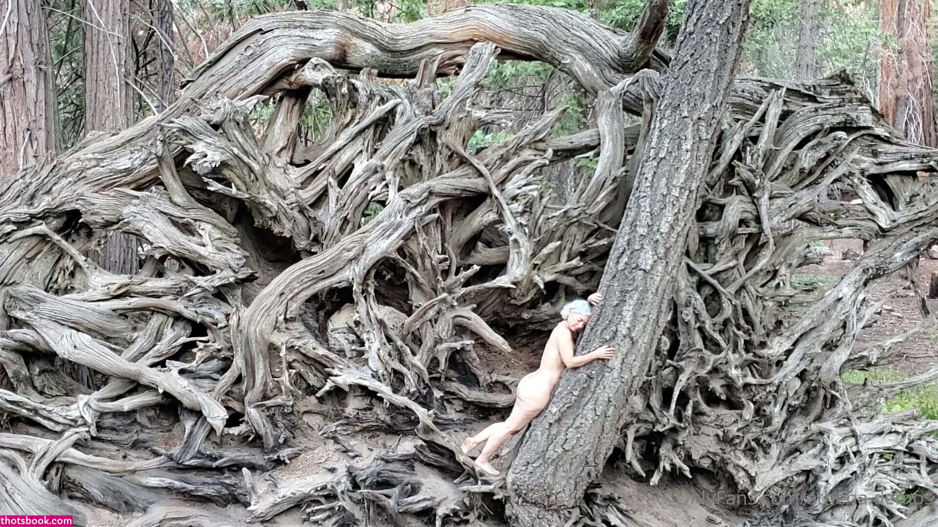 Athena Demos Photo #343