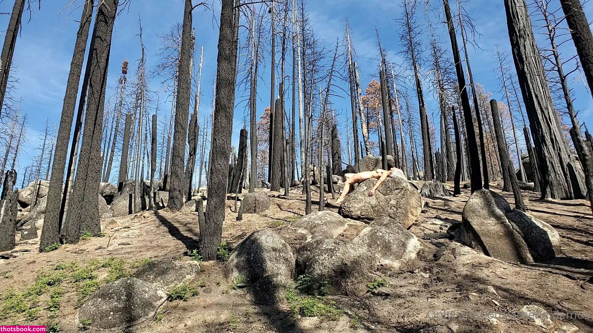 Athena Demos Photo #344