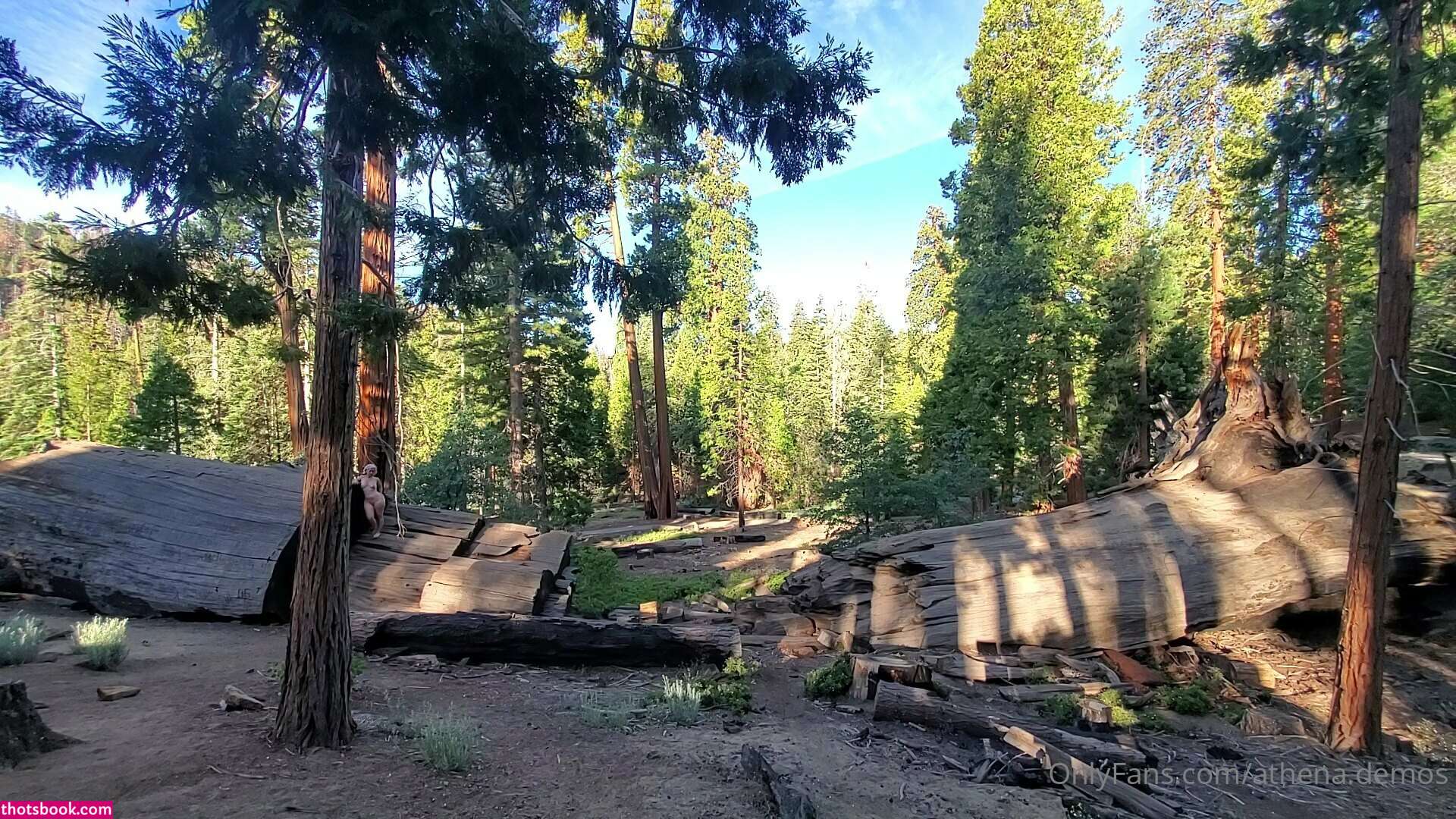 Athena Demos Photo #345