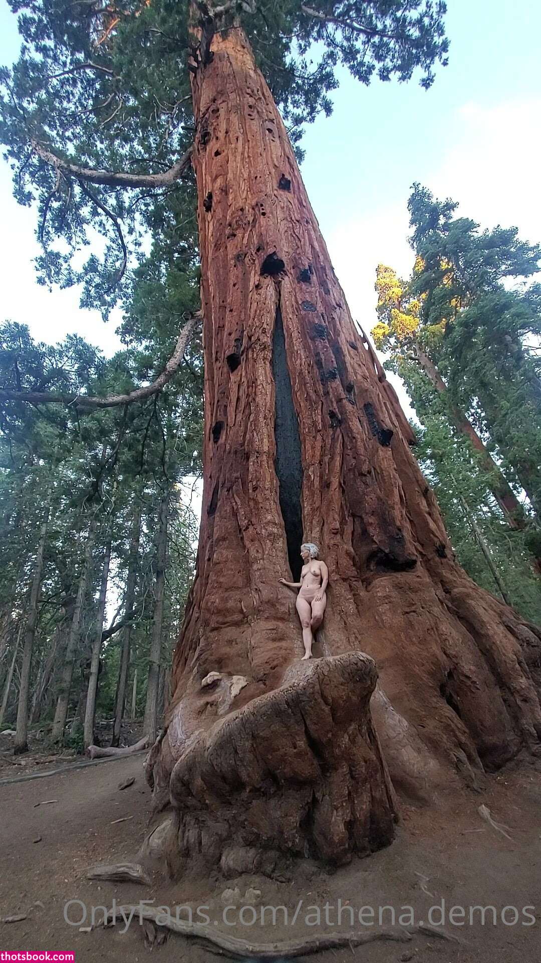 Athena Demos Photo #346