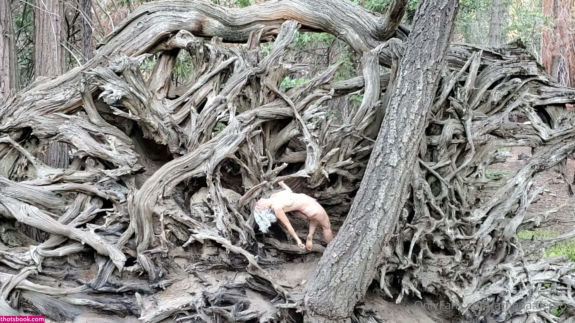 Athena Demos Photo #353