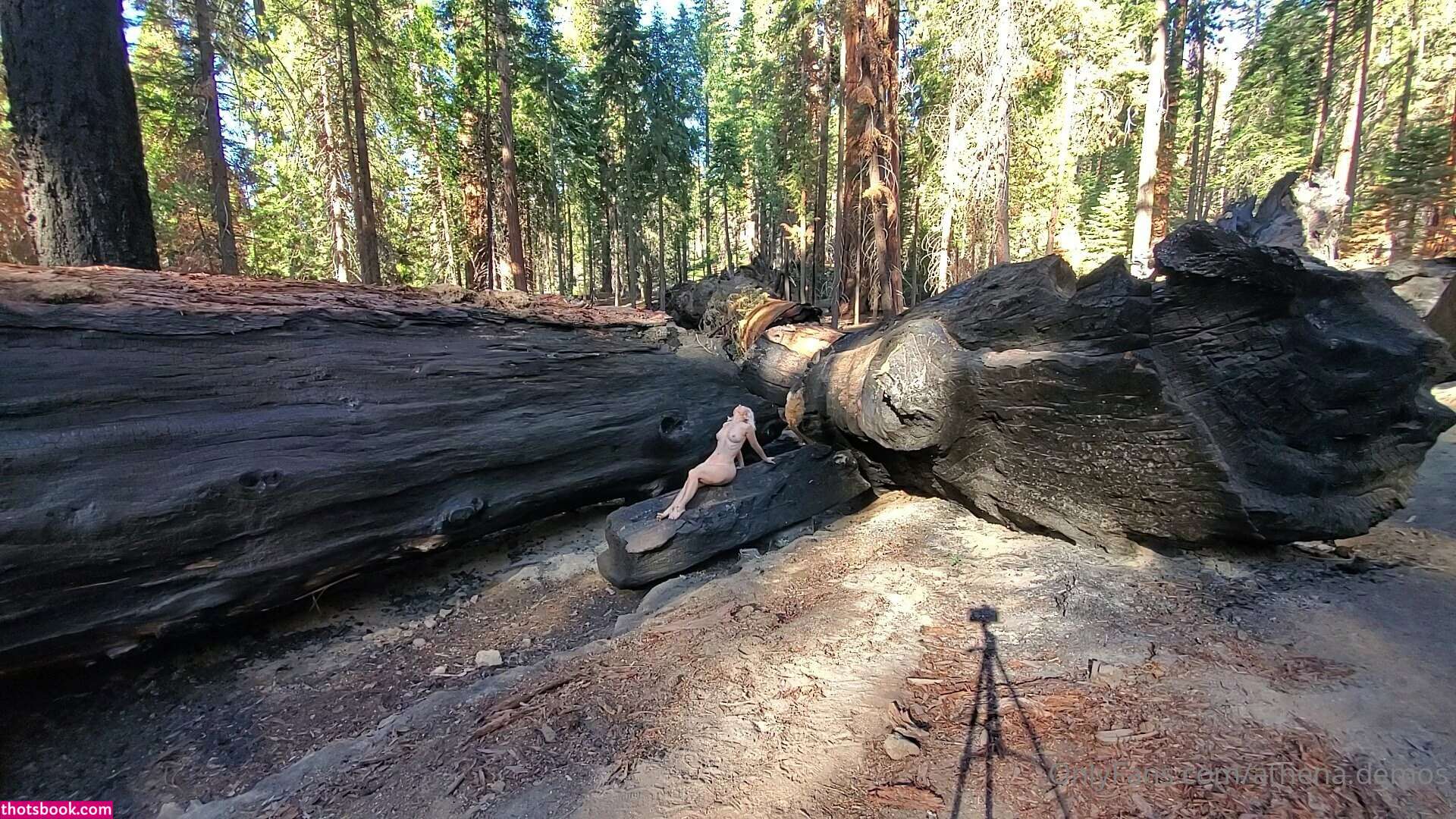 Athena Demos Photo #355