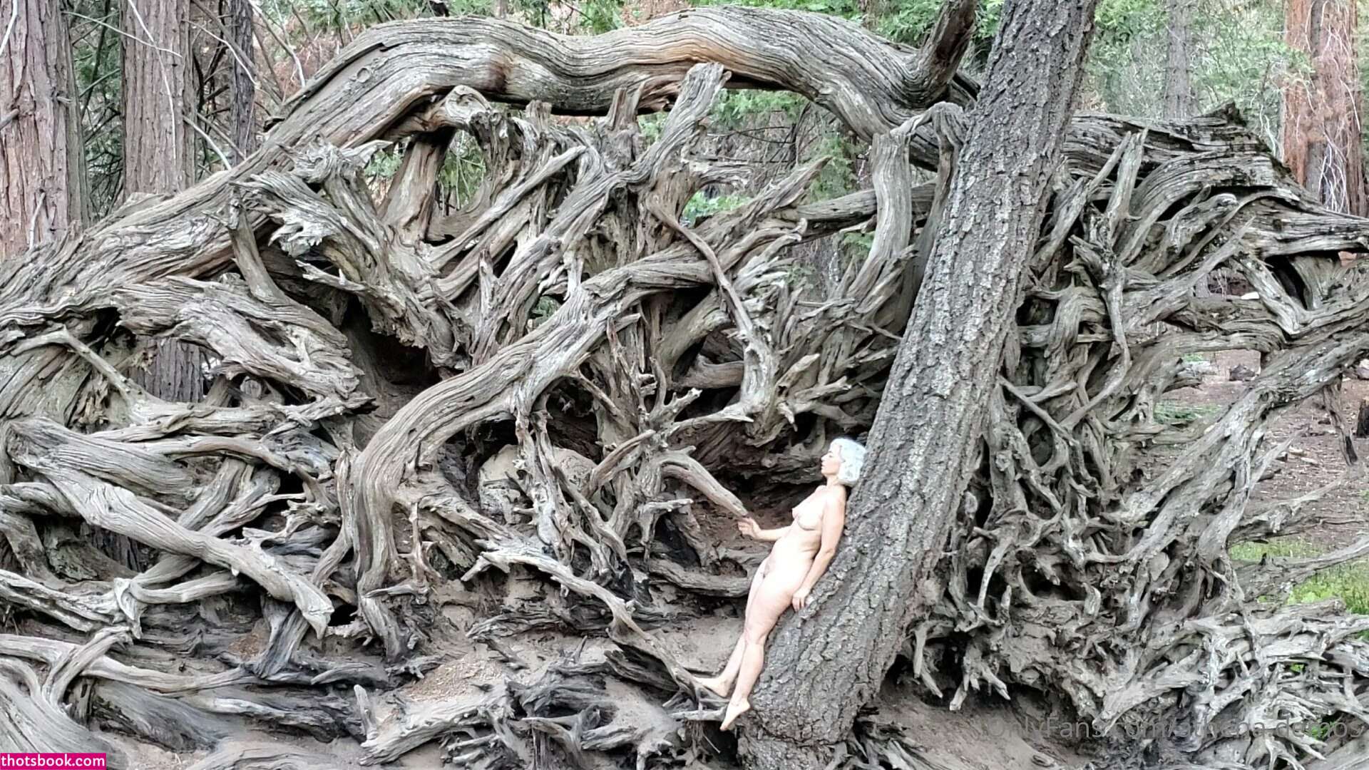 Athena Demos Photo #356