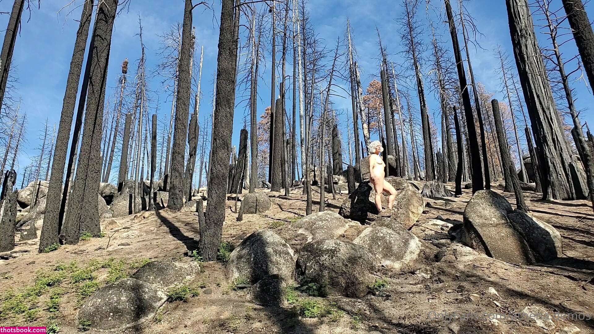 Athena Demos Photo #367