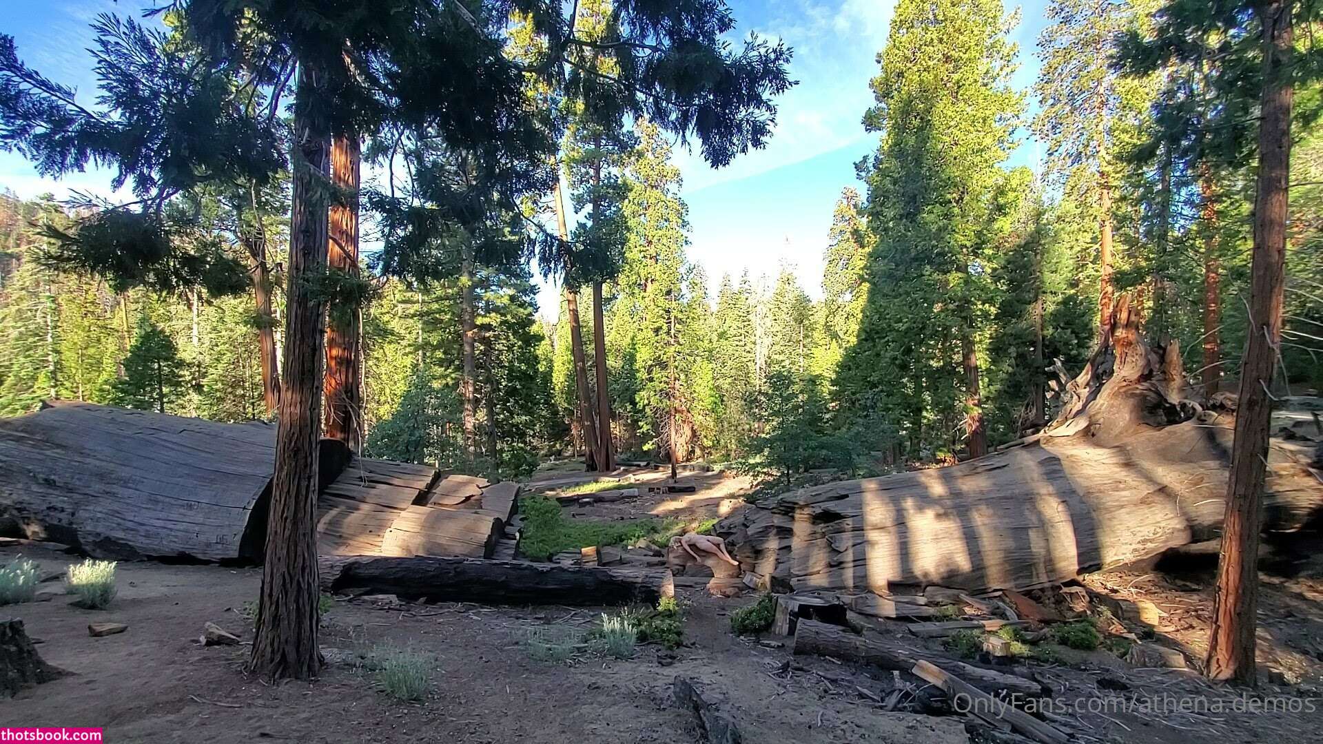 Athena Demos Photo #383