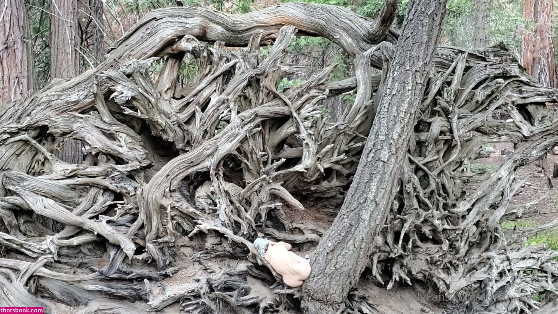 Athena Demos Photo #384