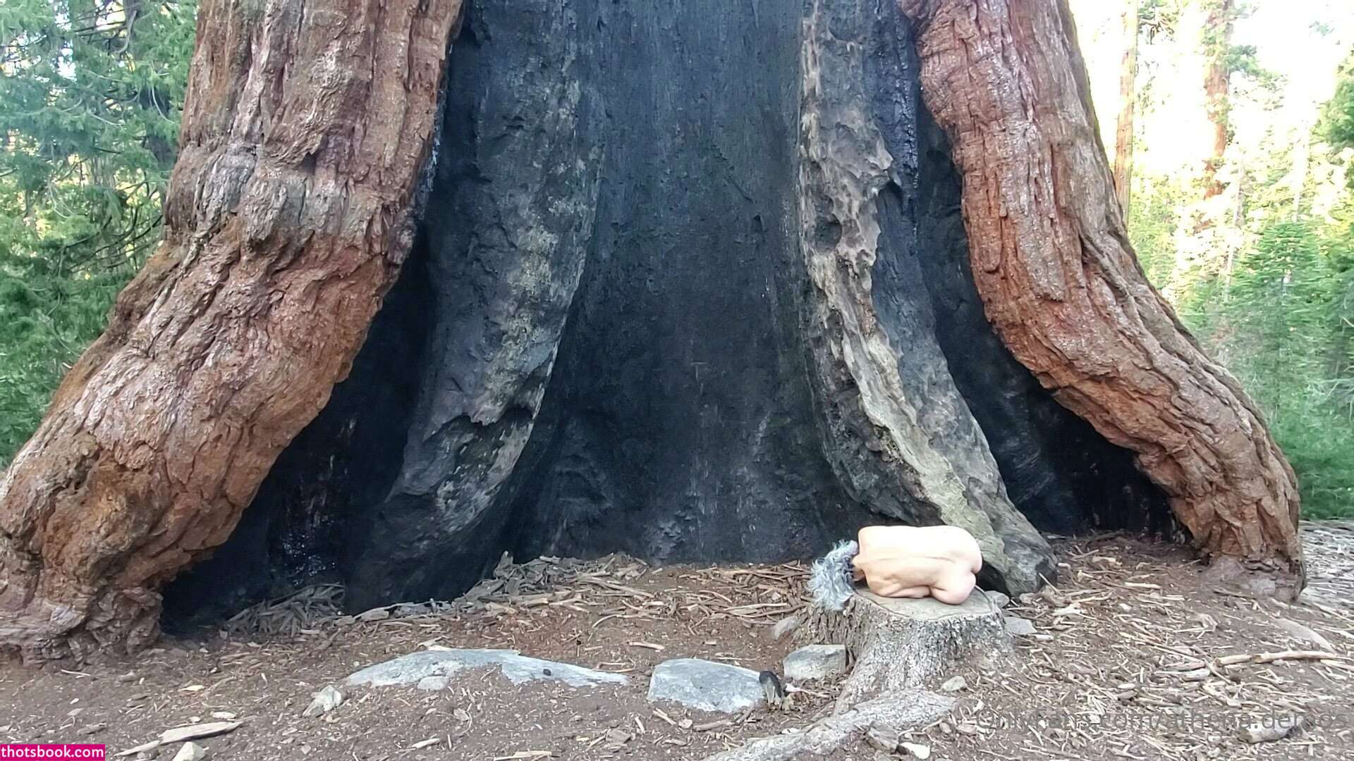 Athena Demos Photo #385