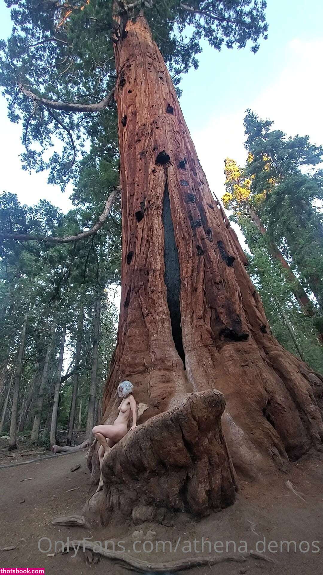 Athena Demos Photo #409