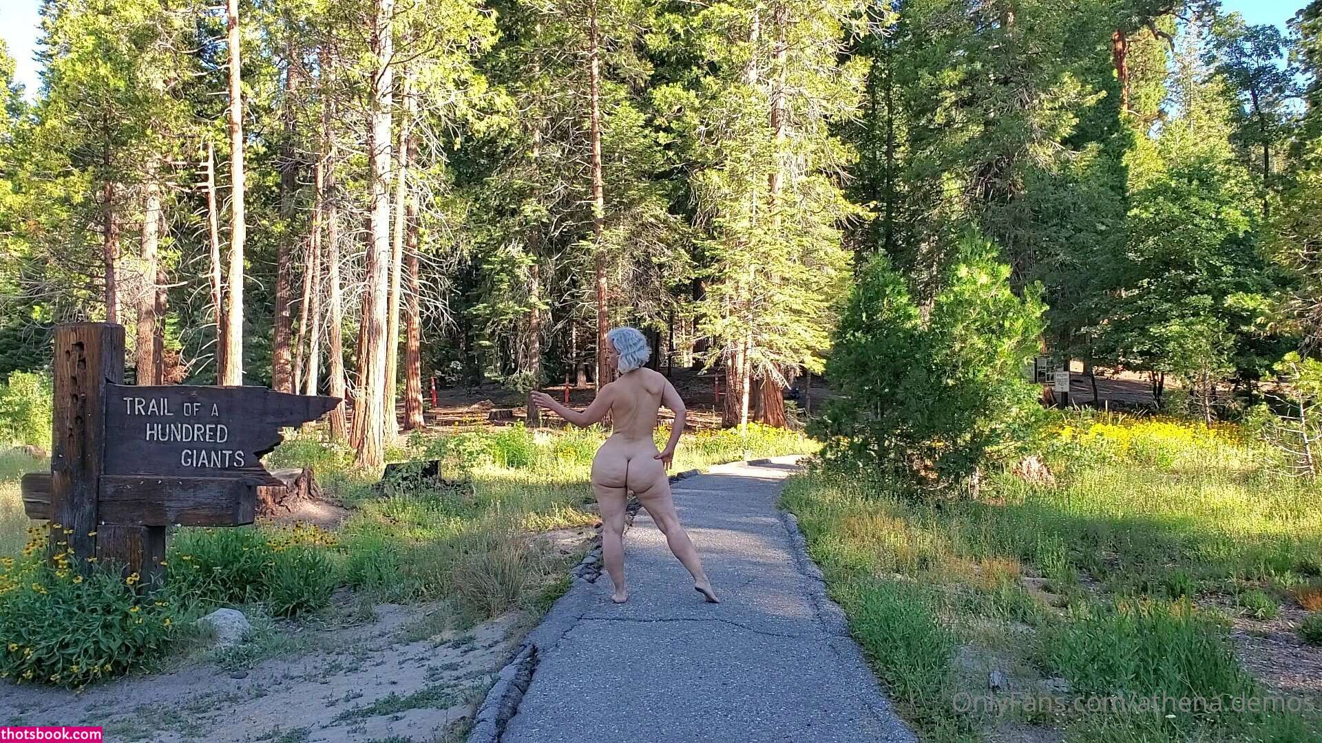 Athena Demos Photo #410