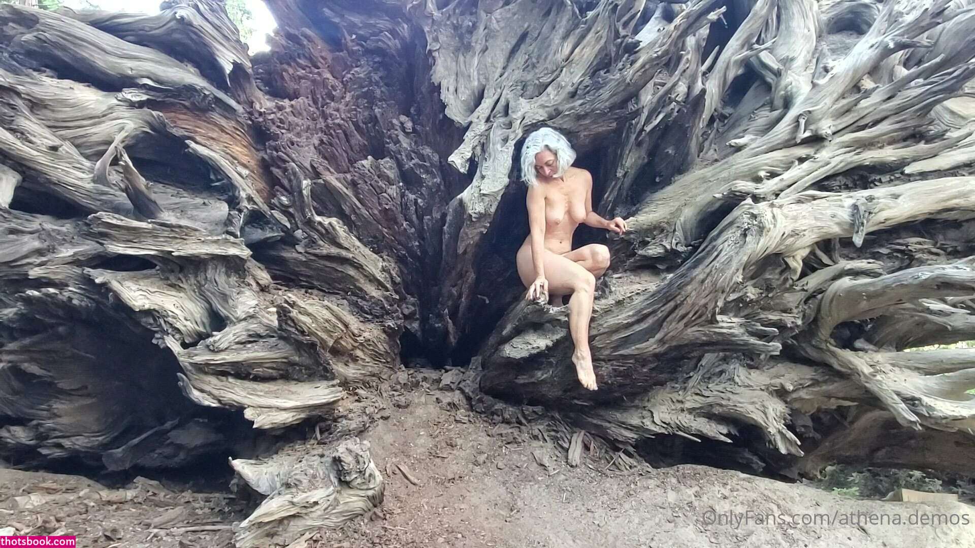 Athena Demos Photo #413