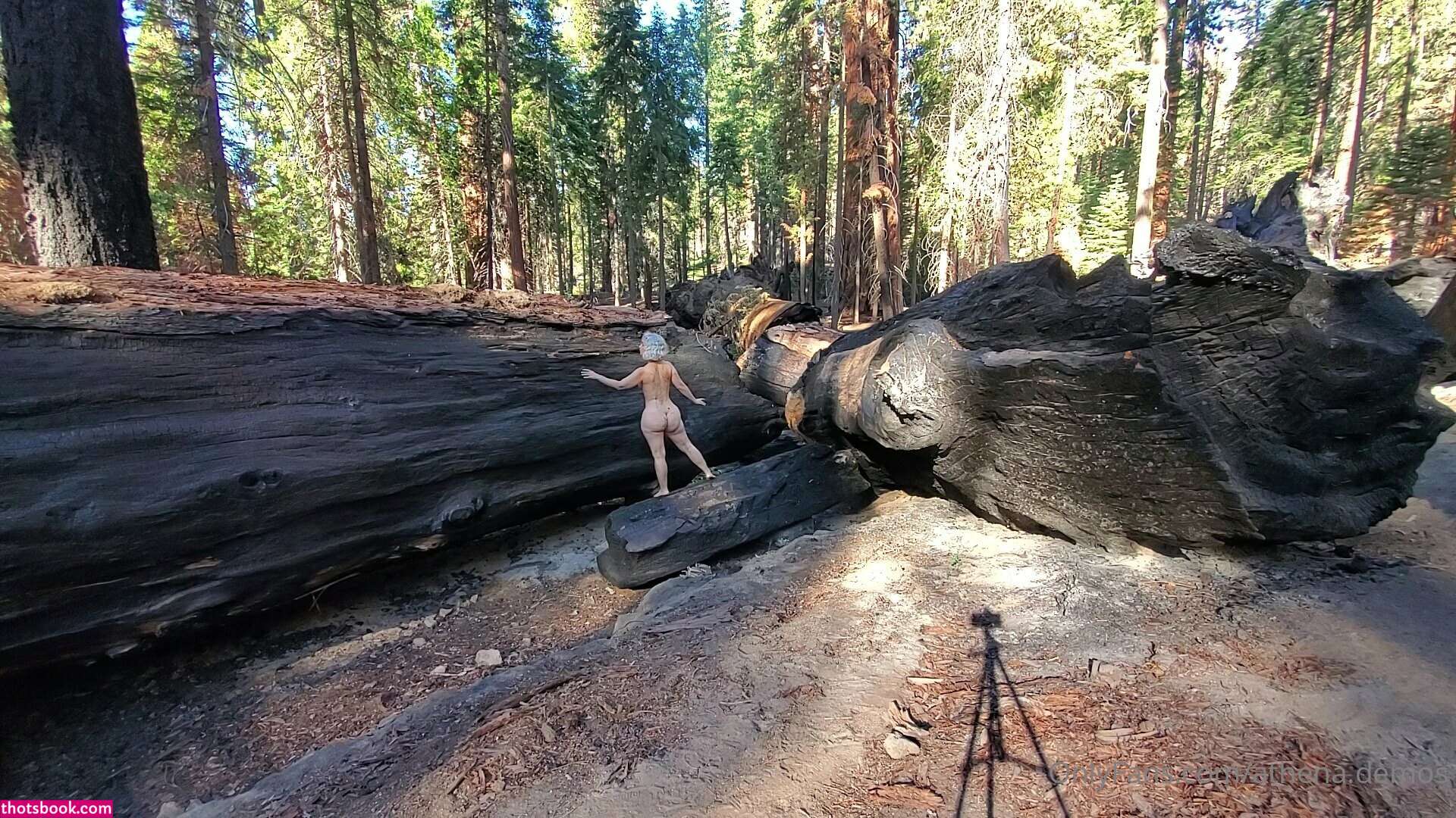 Athena Demos Photo #416