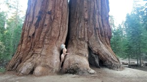 Athena Demos Photo #339