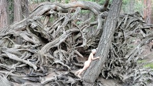 Athena Demos Photo #343