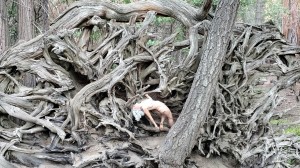 Athena Demos Photo #353