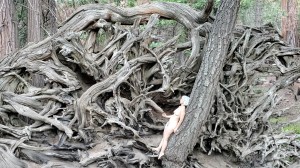 Athena Demos Photo #356