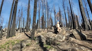 Athena Demos Photo #367