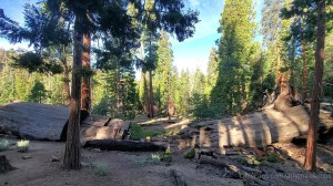 Athena Demos Photo #370