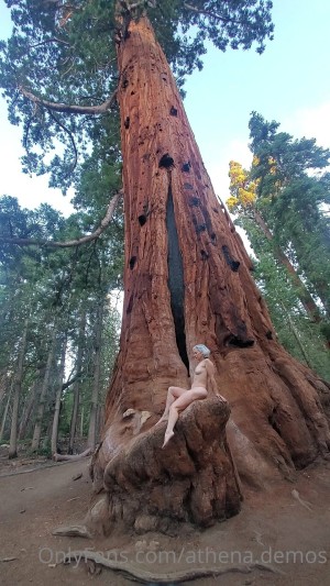 Athena Demos Photo #395